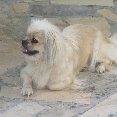 Apartament 9 Medulin